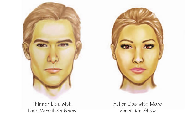 Male vs Female Lips